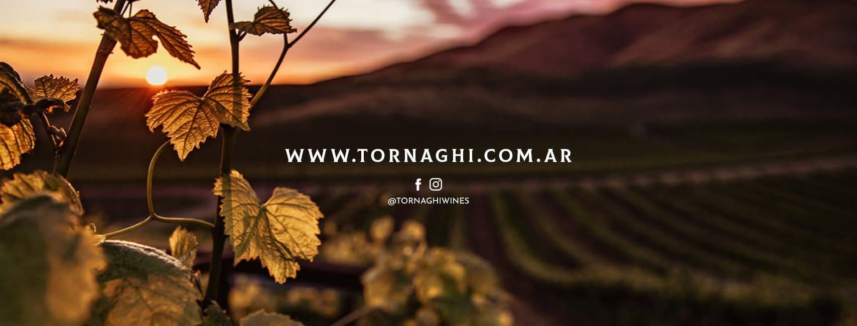 BODEGA TORNAGHI