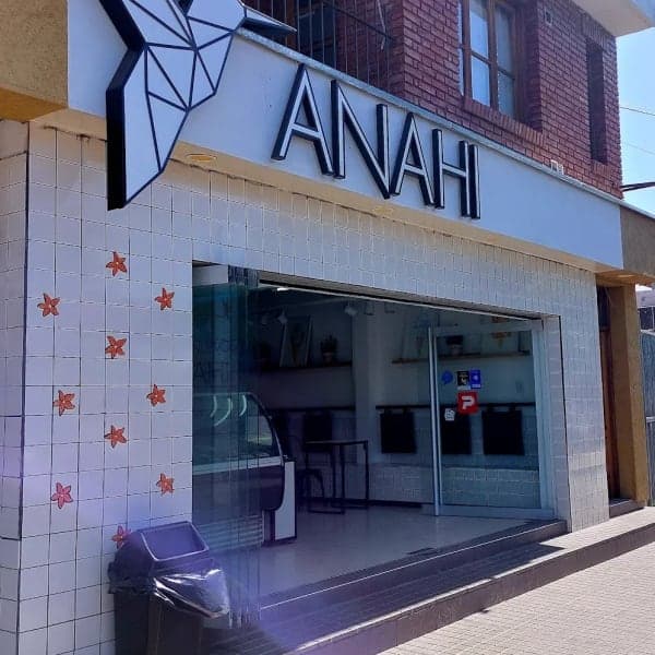 ANAHI- Helados