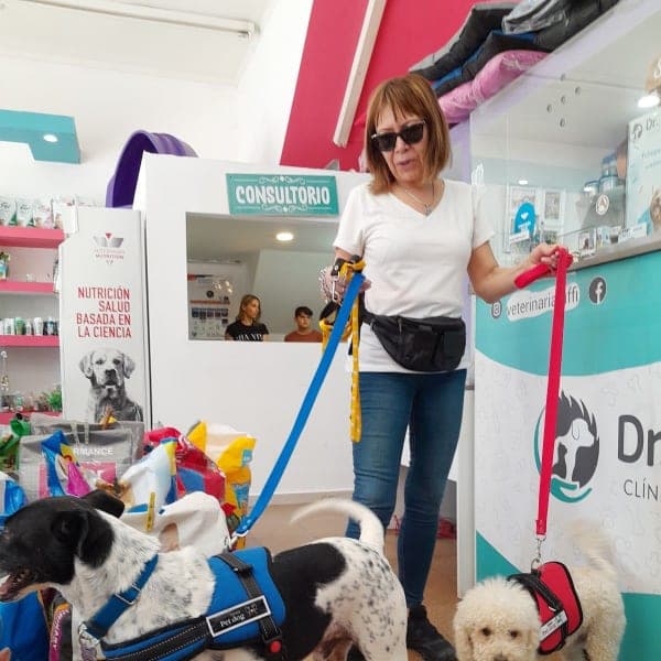 Veterinaria Dr. Luffi