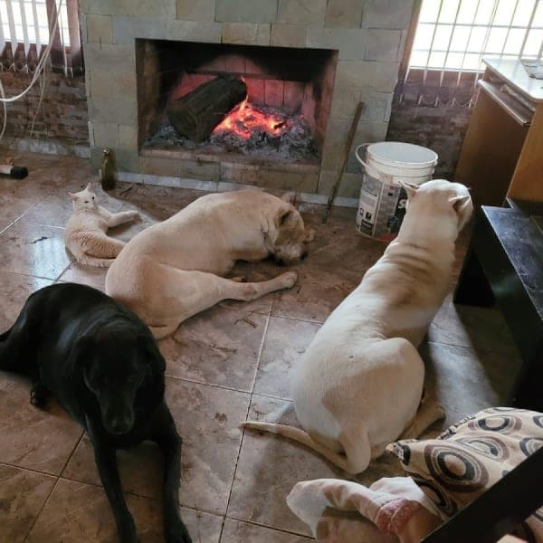 Clínica Veterinaria CISA