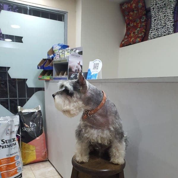 Veterinaria Dr.Biurrun
