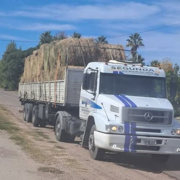Transporte y Corralon Segunda Generación