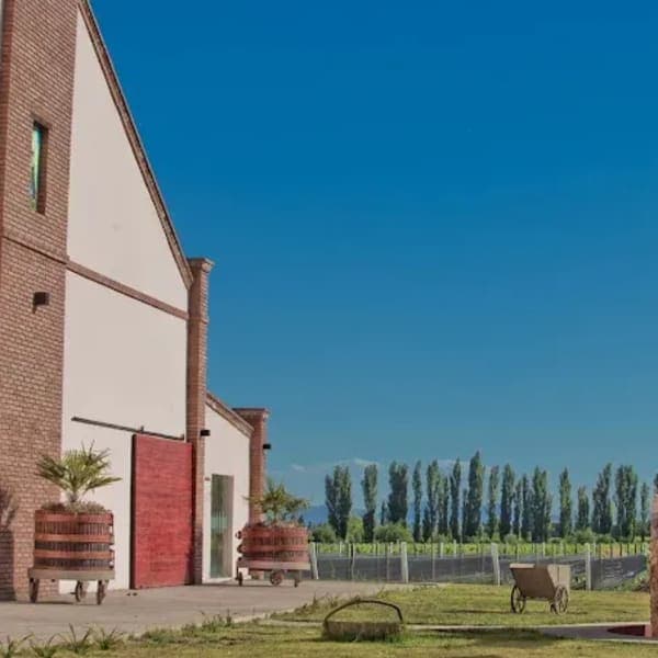 BODEGA IACCARINI