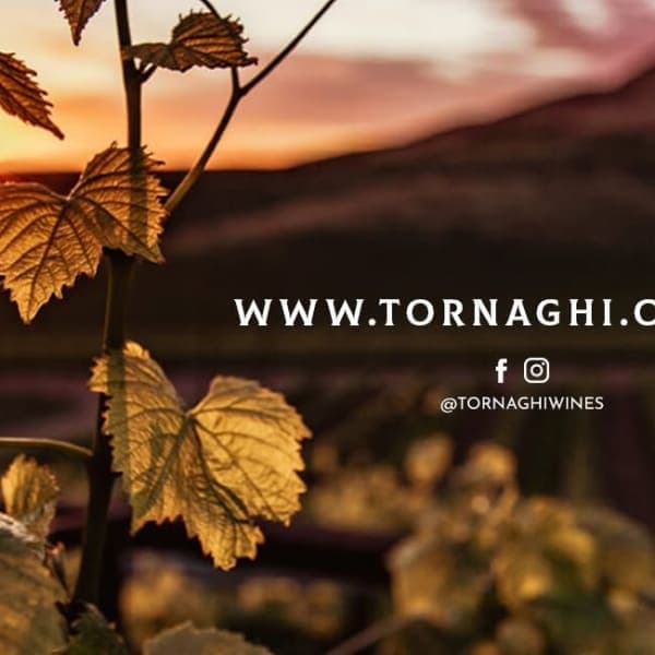 BODEGA TORNAGHI