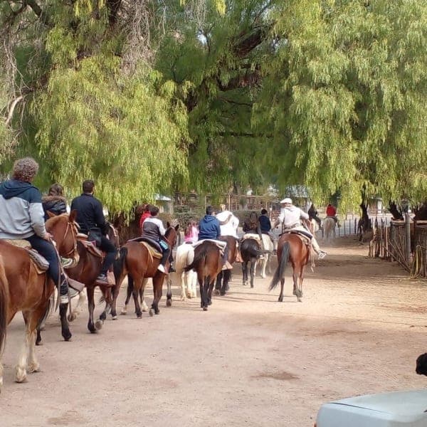Cabalgatas El Alazán