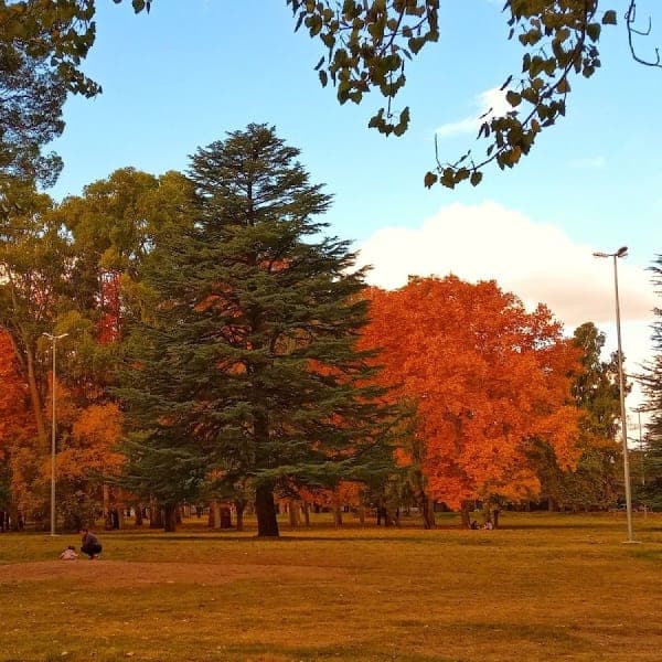 Parque Central Hipólito Yrigoyen