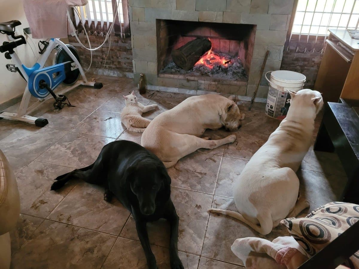 Clínica Veterinaria CISA