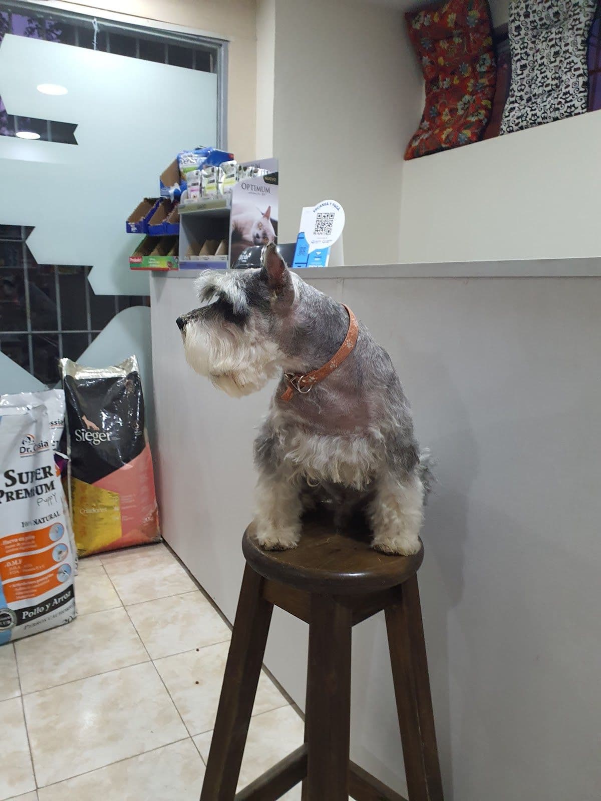Veterinaria Dr.Biurrun